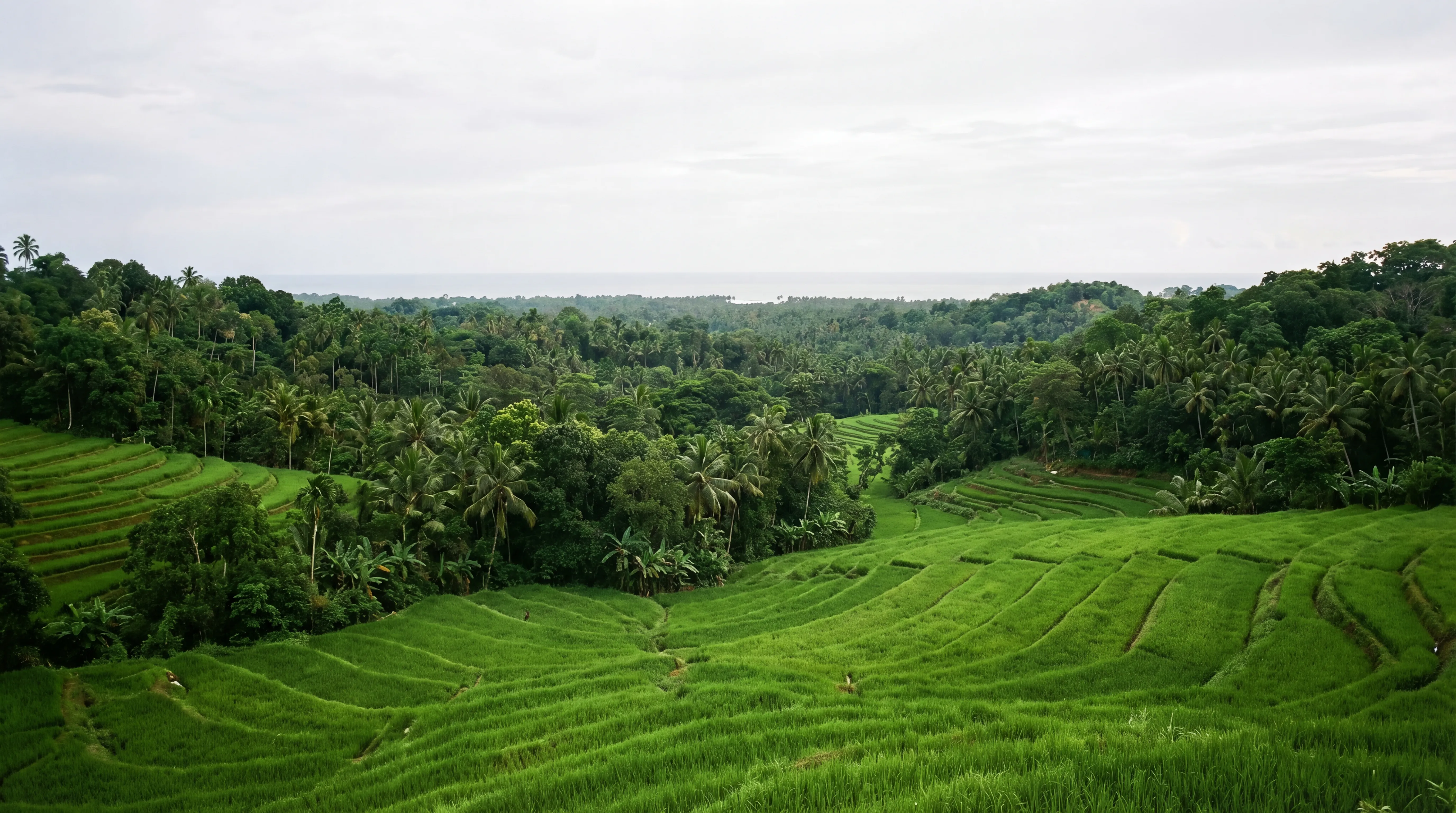 Sri Lanka — the island that holds all five elements